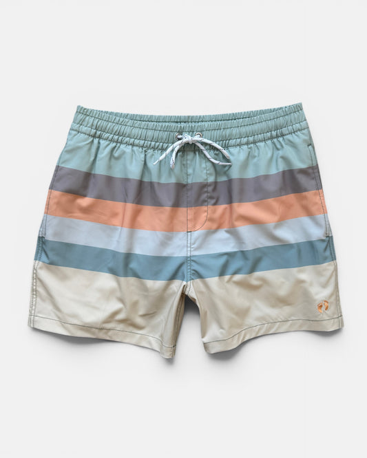Sandbar Stripe Swim Shorts