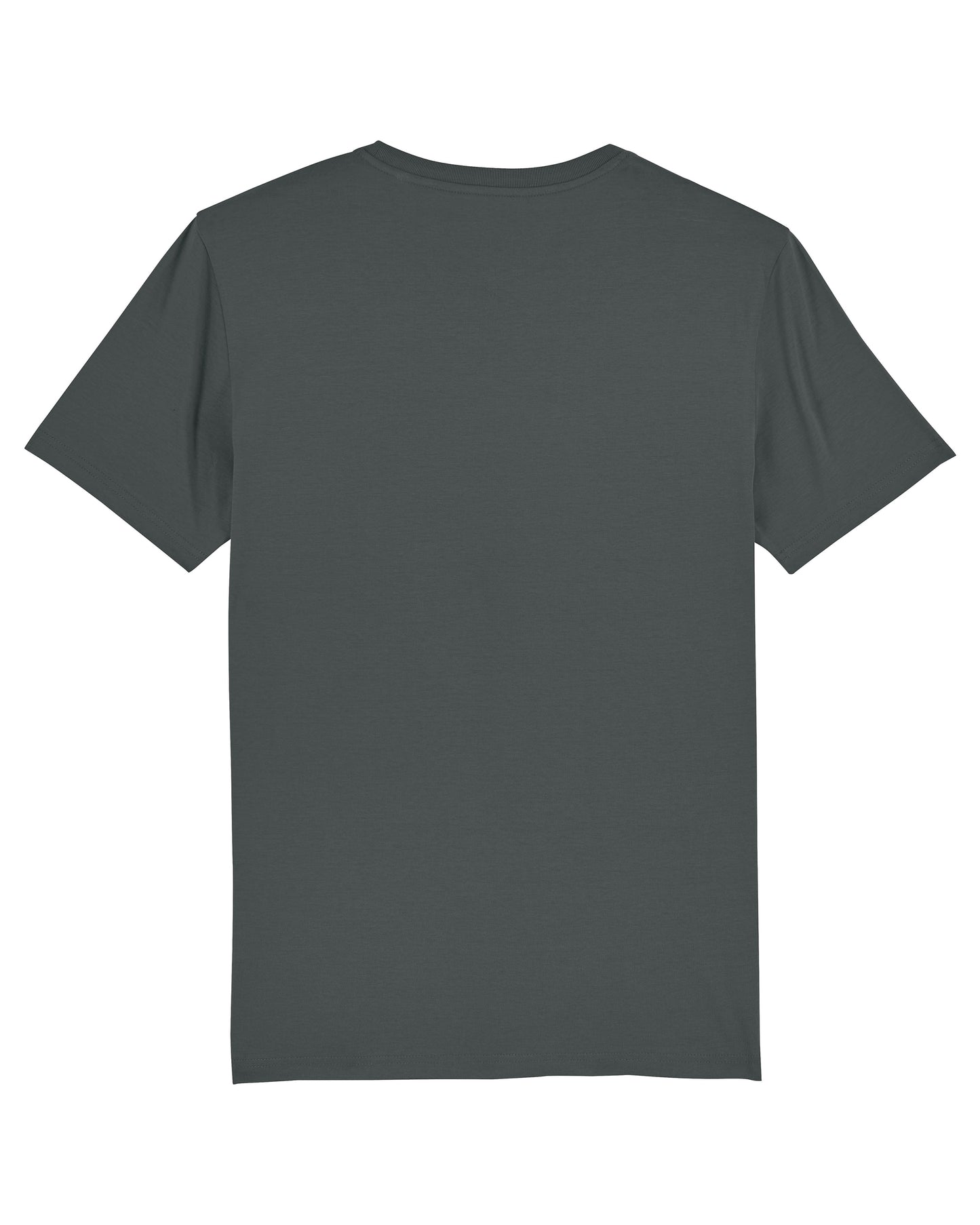 Hang Ten Surfer T-Shirt – Anthrazitgrau