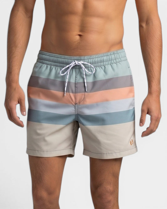 Sandbar Stripe Swim Shorts