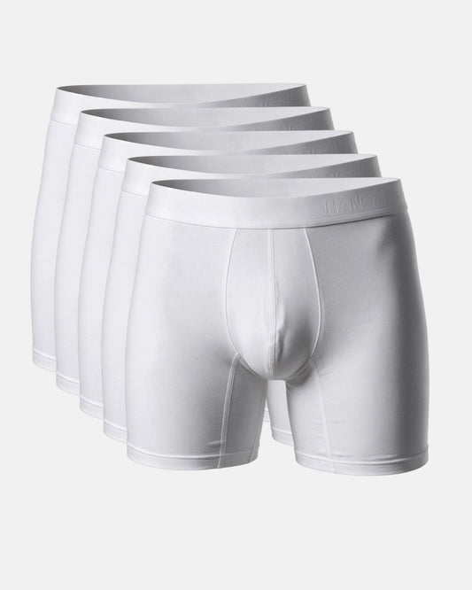 Hang Ten Bamboo Boxers white 5 pack
