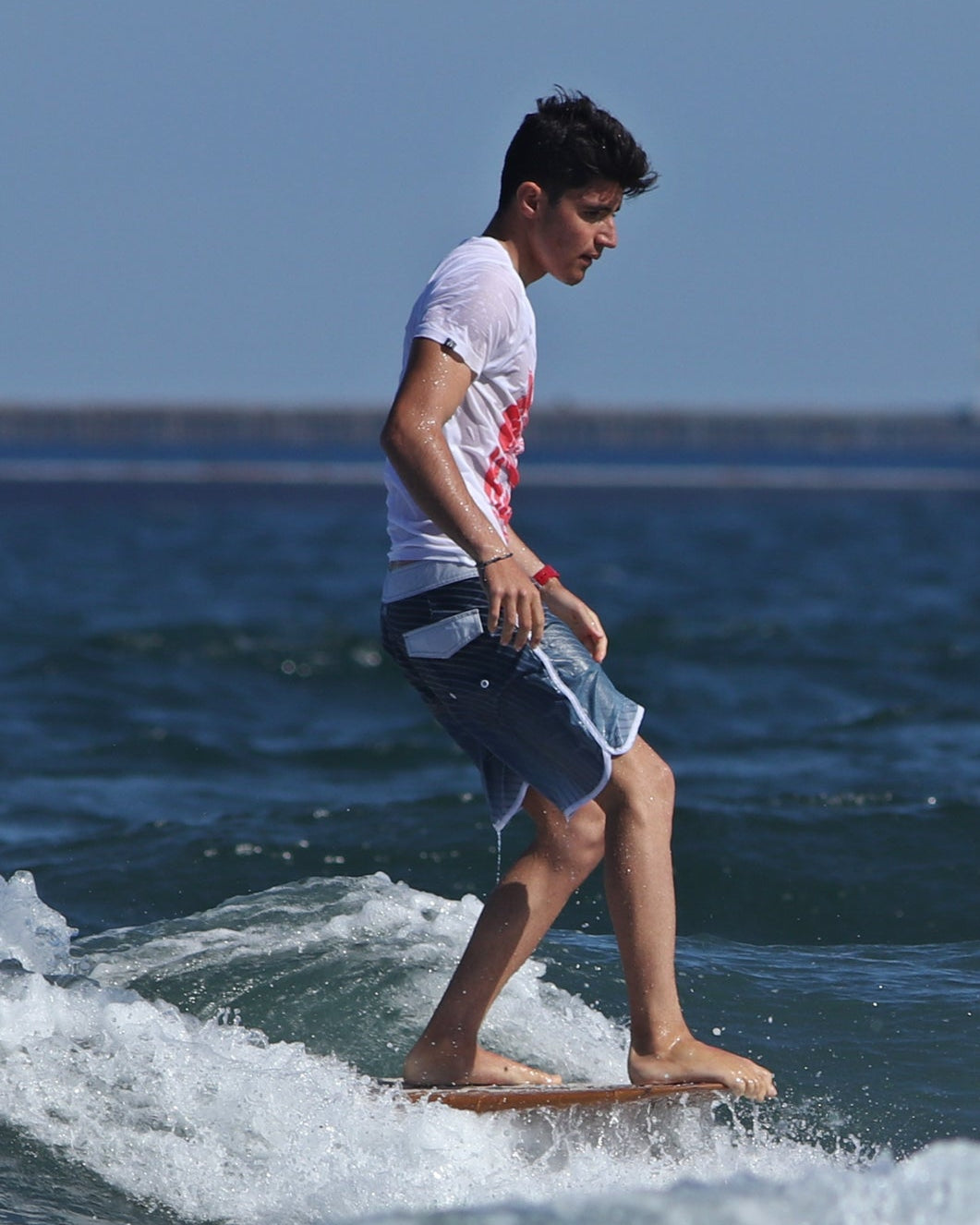 Classic Boardshorts 18'